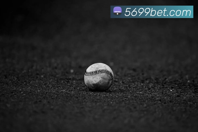 登录器